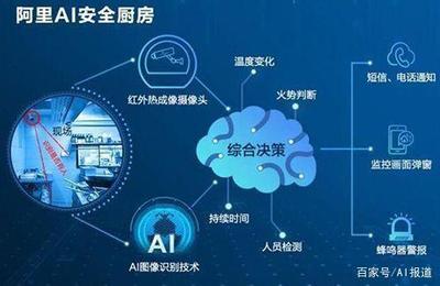 阿里AI稱霸WebVision圖像識別，華為云穩(wěn)占第三 人工智能應(yīng)用軟件開發(fā)迎來新征程